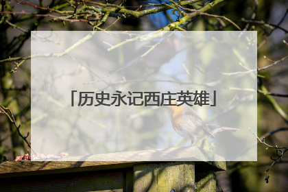 历史永记西庄英雄
