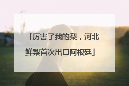 厉害了我的梨，河北鲜梨首次出口阿根廷