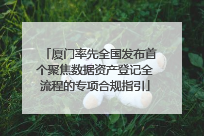 厦门率先全国发布首个聚焦数据资产登记全流程的专项合规指引