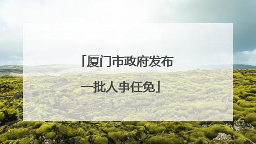厦门市政府发布一批人事任免