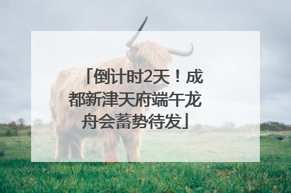 倒计时2天！成都新津天府端午龙舟会蓄势待发