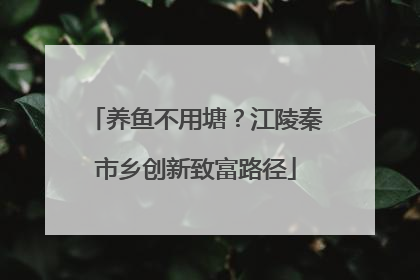养鱼不用塘？江陵秦市乡创新致富路径