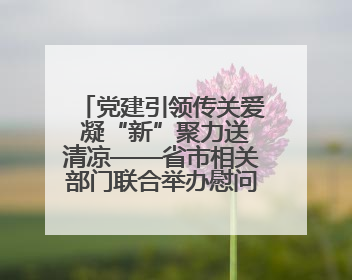 党建引领传关爱 凝“新”聚力送清凉——省市相关部门联合举办慰问骑手活动