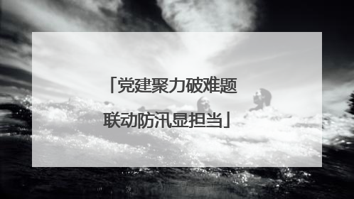 党建聚力破难题 联动防汛显担当