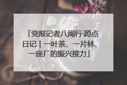 党报记者八闽行·蹲点日记｜一叶茶、一片林、一座厂的振兴接力