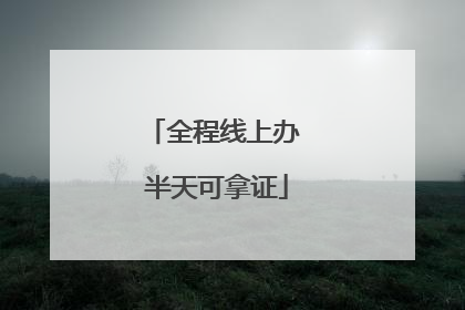 全程线上办 半天可拿证