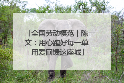 全国劳动模范｜陈一文：用心跑好每一单 用爱回馈这座城