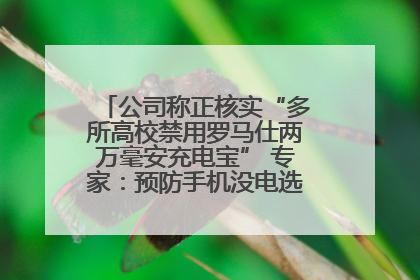 公司称正核实“多所高校禁用罗马仕两万毫安充电宝” 专家：预防手机没电选中等体积产品即可