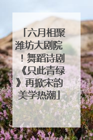 六月相聚潍坊大剧院！舞蹈诗剧《只此青绿》再掀宋韵美学热潮