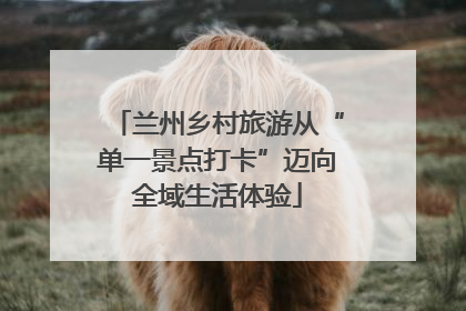 兰州乡村旅游从“单一景点打卡”迈向全域生活体验