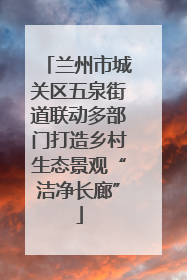 兰州市城关区五泉街道联动多部门打造乡村生态景观“洁净长廊”