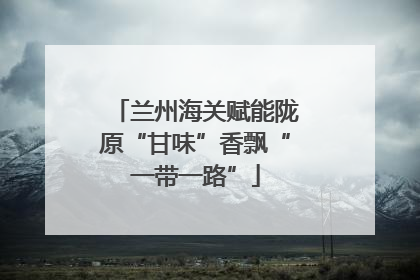 兰州海关赋能陇原“甘味”香飘“一带一路”