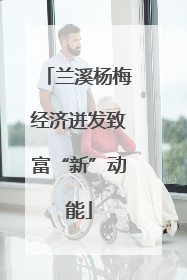 兰溪杨梅经济迸发致富“新”动能
