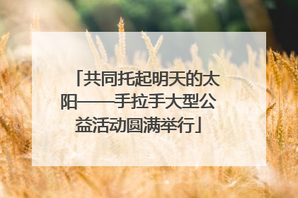 共同托起明天的太阳——手拉手大型公益活动圆满举行