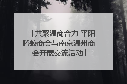共聚温商合力 平阳腾蛟商会与南京温州商会开展交流活动