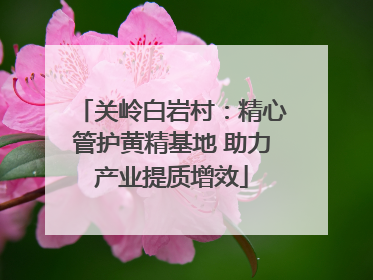 关岭白岩村：精心管护黄精基地 助力产业提质增效