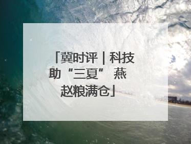 冀时评｜科技助“三夏” 燕赵粮满仓