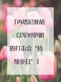 内塔尼亚胡：以军对伊朗的打击会“持续多日”