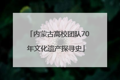 内蒙古高校团队70年文化遗产探寻史