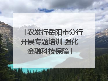 农发行岳阳市分行开展专题培训 强化金融科技保障