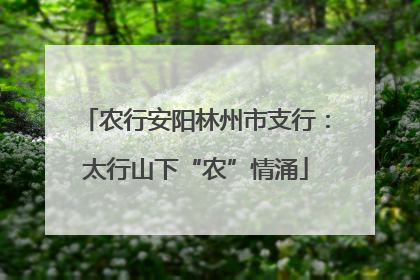 农行安阳林州市支行：太行山下“农”情涌