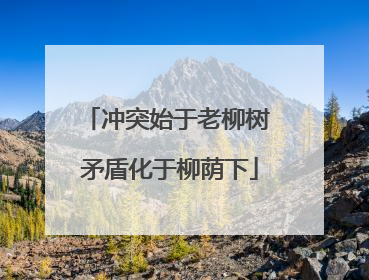 冲突始于老柳树 矛盾化于柳荫下