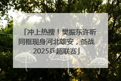 冲上热搜！樊振东许昕同框现身河北雄安，备战2025乒超联赛