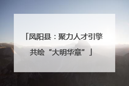 凤阳县：聚力人才引擎 共绘“大明华章”