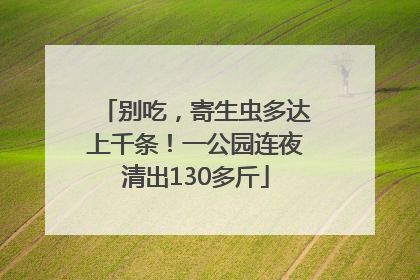 别吃，寄生虫多达上千条！一公园连夜清出130多斤