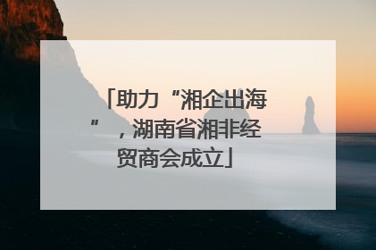 助力“湘企出海”，湖南省湘非经贸商会成立