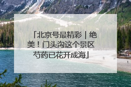 北京号最精彩｜绝美！门头沟这个景区芍药已花开成海