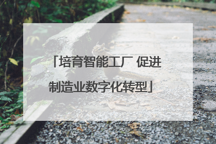 培育智能工厂 促进制造业数字化转型