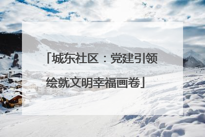 城东社区：党建引领绘就文明幸福画卷