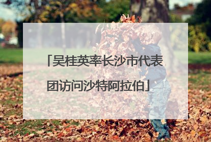 吴桂英率长沙市代表团访问沙特阿拉伯