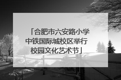 合肥市六安路小学中铁国际城校区举行校园文化艺术节