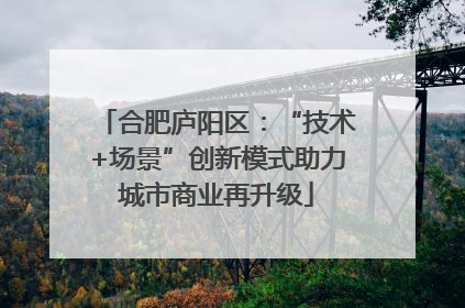 合肥庐阳区：“技术+场景”创新模式助力城市商业再升级