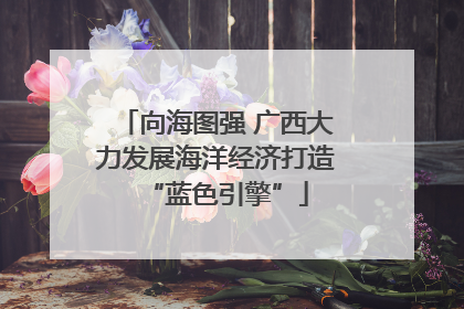 向海图强 广西大力发展海洋经济打造“蓝色引擎”