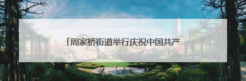 周家桥街道举行庆祝中国共产党成立104周年主题活动