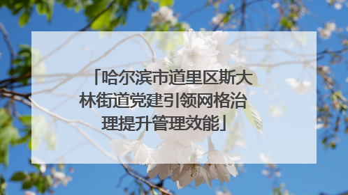 哈尔滨市道里区斯大林街道党建引领网格治理提升管理效能