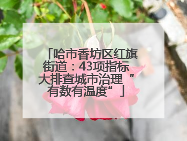 哈市香坊区红旗街道：43项指标大排查城市治理“有数有温度”