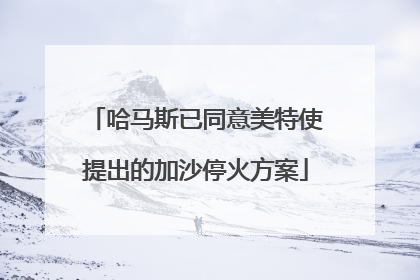 哈马斯已同意美特使提出的加沙停火方案