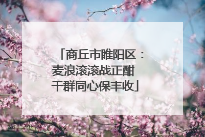 商丘市睢阳区：麦浪滚滚战正酣 干群同心保丰收