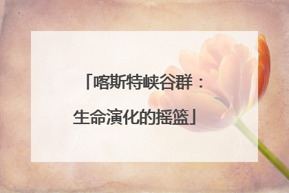 喀斯特峡谷群：生命演化的摇篮