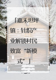 嘉禾坦坪镇：针织产业解锁村民致富“新模式”