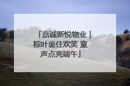 嘉诚新悦物业｜粽叶裹住欢笑 童声点亮端午