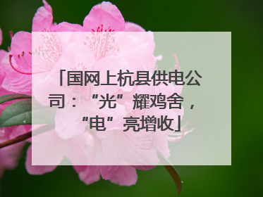 国网上杭县供电公司：“光”耀鸡舍，“电”亮增收