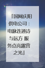 国网庆阳供电公司：电脉连通诗与远方 服务点亮露营之光
