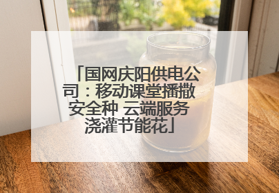 国网庆阳供电公司：移动课堂播撒安全种 云端服务浇灌节能花