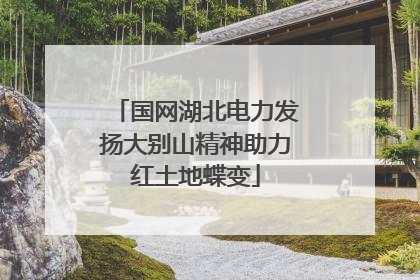 国网湖北电力发扬大别山精神助力红土地蝶变