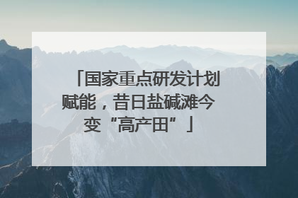 国家重点研发计划赋能，昔日盐碱滩今变“高产田”